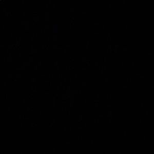 Meet your Posher, Brady